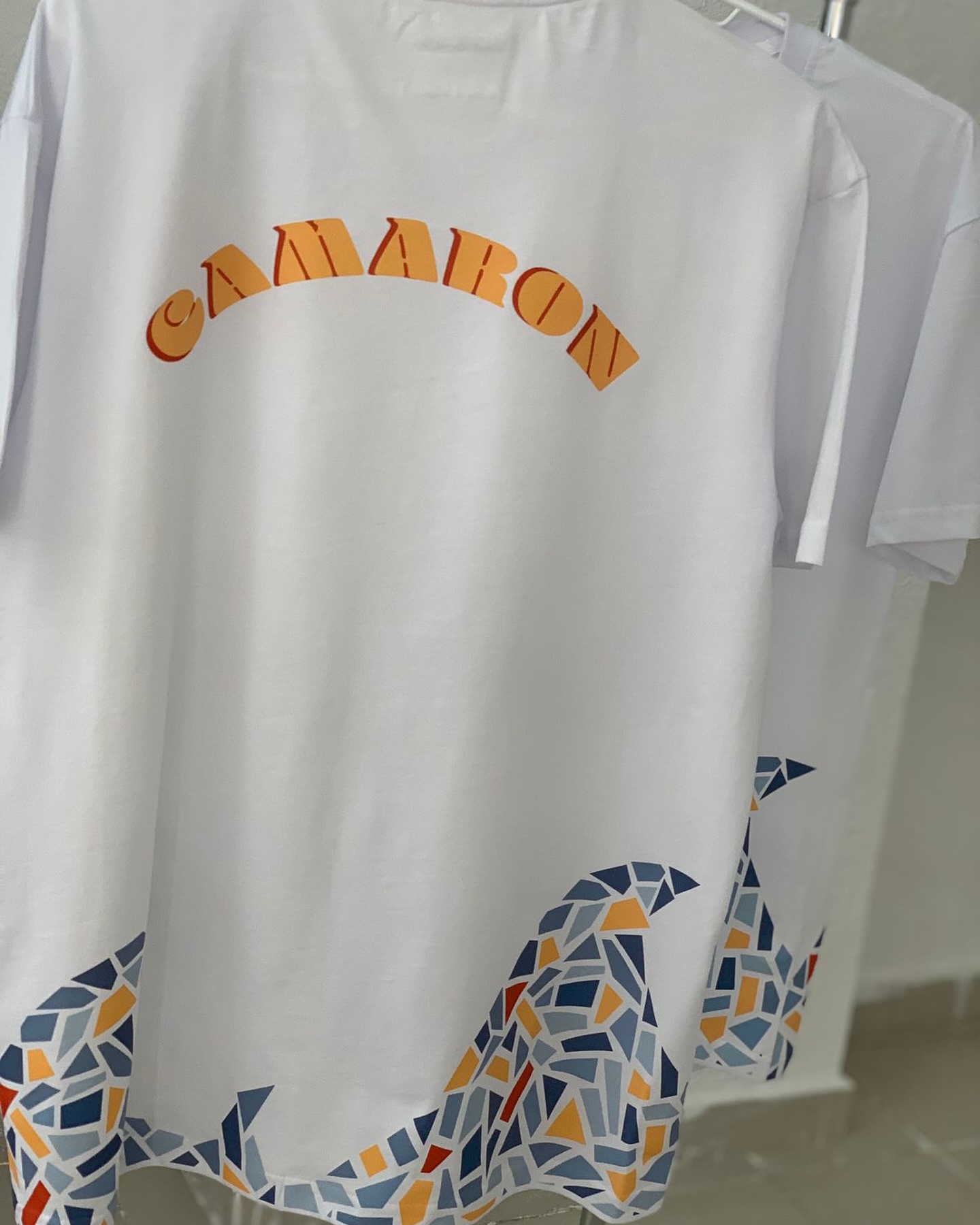 Camaron project 5